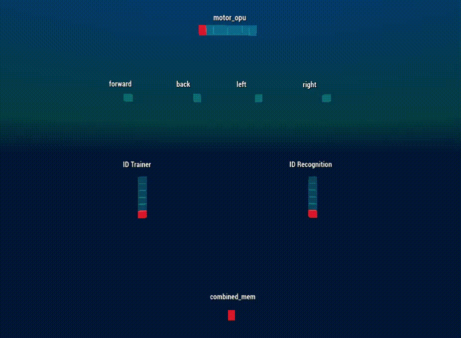 Training region showing ID recognition and motor outputs